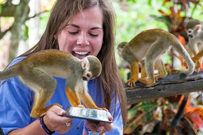 Punta Cana Monkeyland and Zipline Two Adventures in One Day - Monkeyland and its squirrel monkeys