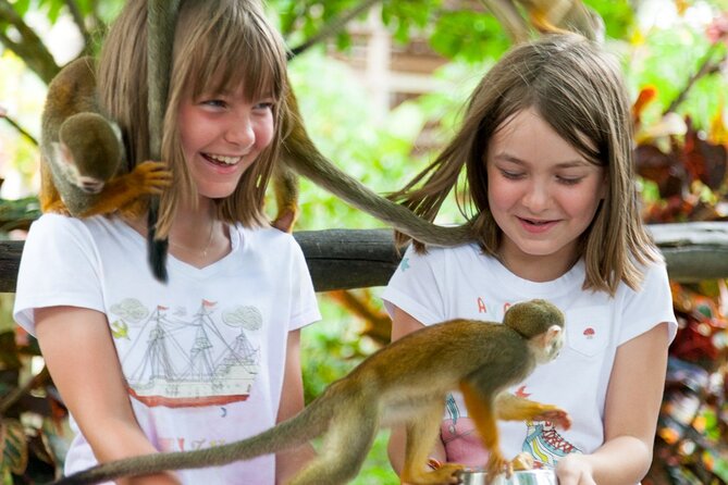 Punta Cana Monkeyland and Zipline Two Adventures in One Day - Getting there by safari truck or coach