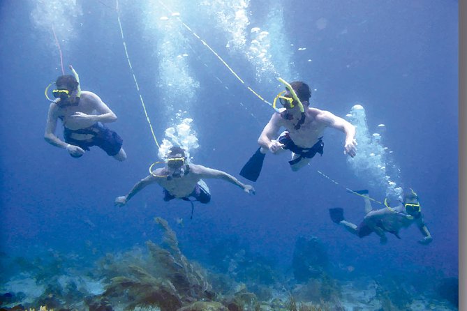 Punta Cana Party Cruise with Snorkeling, Hooka Diving and Parasailing - The waist-deep-water party