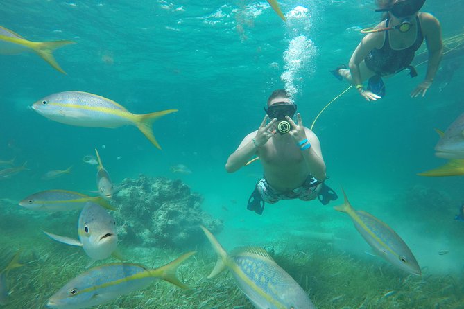 Punta Cana Party Cruise with Snorkeling, Hooka Diving and Parasailing - Pickup, timing, and practical planning