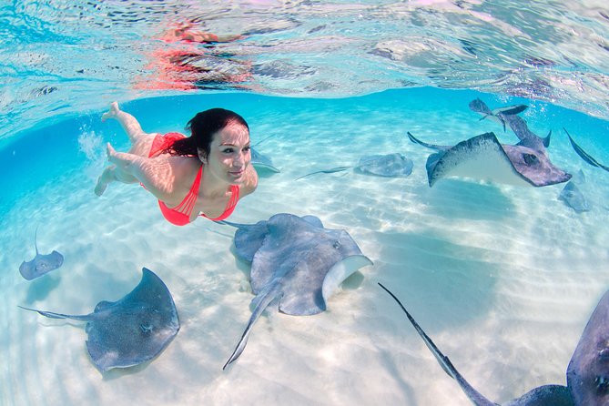 Punta Cana Private Virgen Beach Small & Big Group Snorkel Cruise - The natural pool is where the party grows