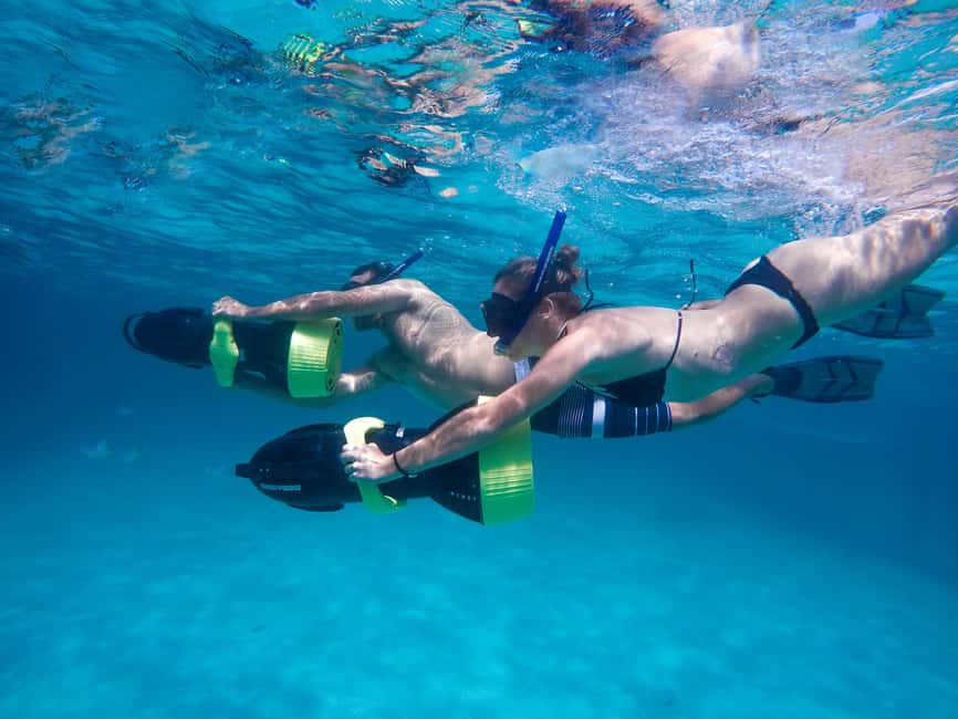 Punta Cana: Reef Explorer Access w/ Sharks & Stingrays Swim - Who will enjoy this, and who should skip it?
