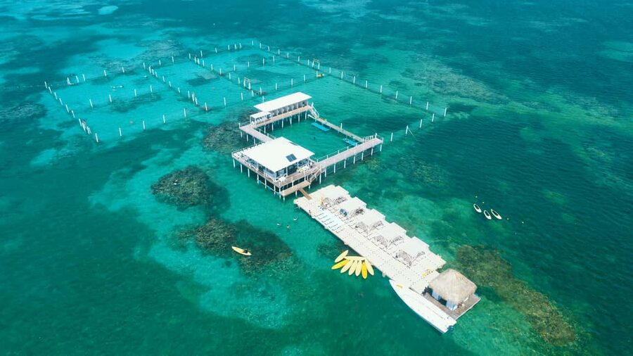 Punta Cana: Reef Explorer Access w/ Sharks & Stingrays Swim - Three hours of choices on the floating island