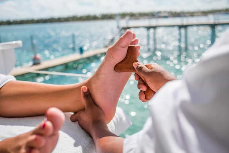 Punta Cana: Reef Explorer Access w/ Sharks & Stingrays Swim - Is $149 a fair price?