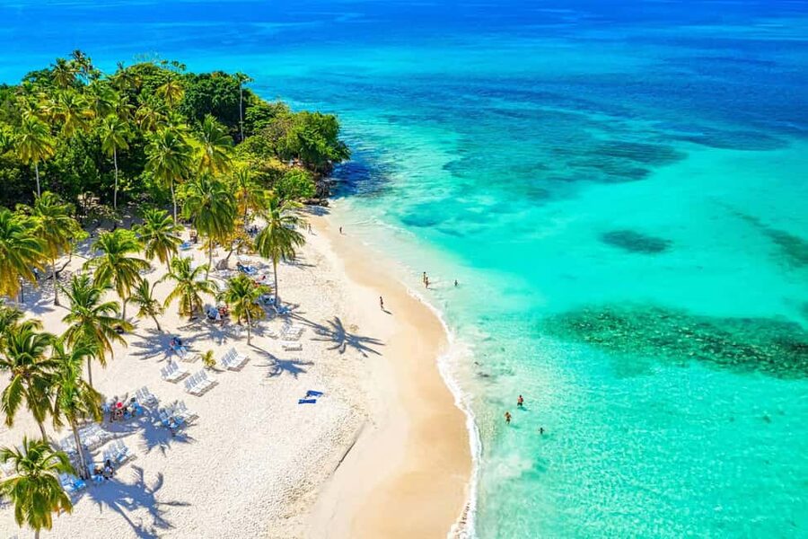 Punta Cana: Samaná Whale Watching, Bacardi & Limon Falls - Key points to know before booking