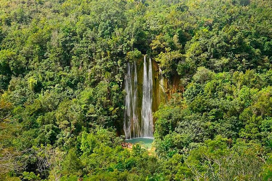 Punta Cana: Samaná Whale Watching, Bacardi & Limon Falls - Why this Samaná day trip is worth your time