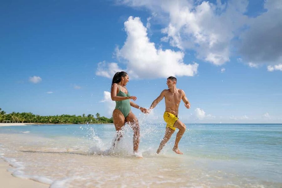 Punta Cana: Samaná Whale Watching, Bacardi & Limon Falls - Dominican lunch and the taste of the region