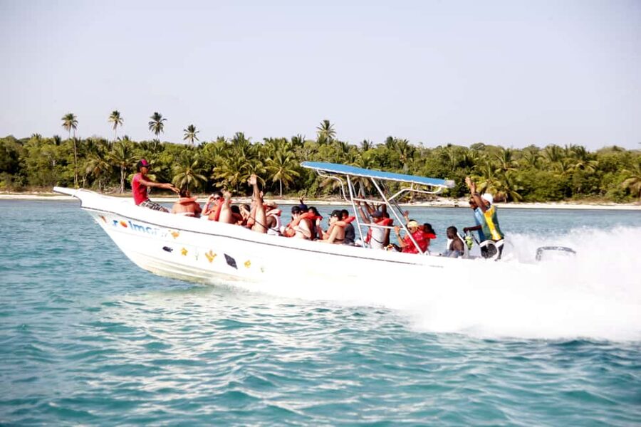 Punta Cana: Saona Island and Altos de Chavón Day Trip - What to pack and what to expect