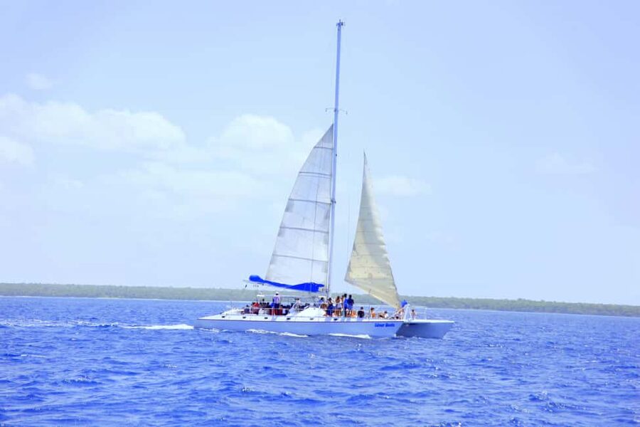 Punta Cana: Saona Island and Altos de Chavón Day Trip - The natural swimming pool and its famous starfish