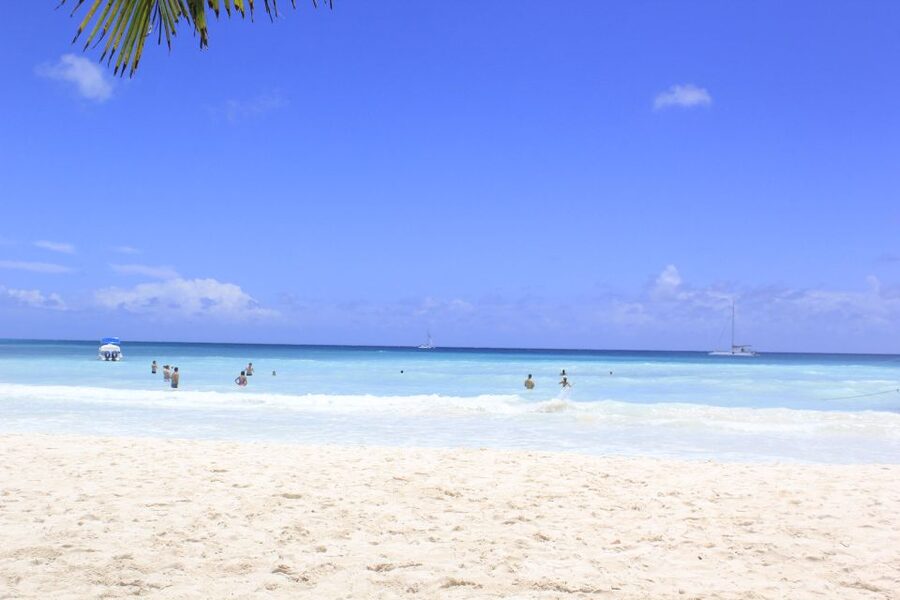 Punta Cana: Saona Island and Altos de Chavón Day Trip - Is $92 a fair price?