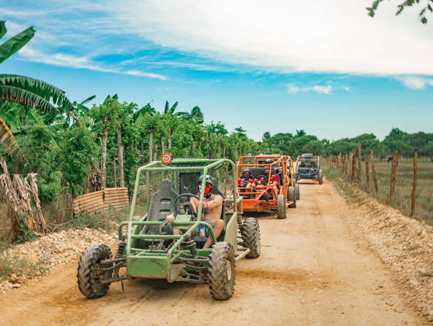 Punta Cana: Saona Island and Buggy Combo - Two very different days in one Punta Cana package