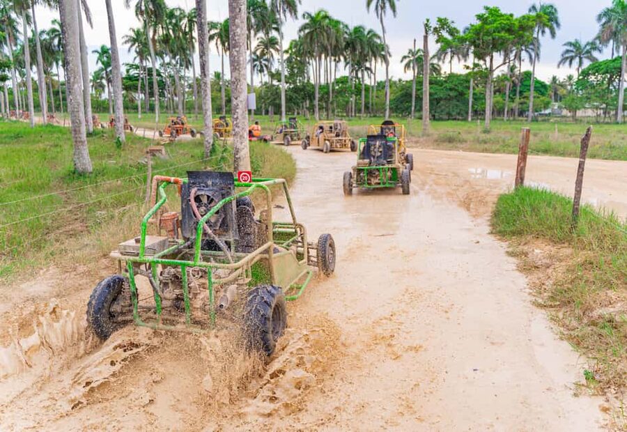Punta Cana: Saona Island and Buggy Combo - Who will enjoy this combo most?