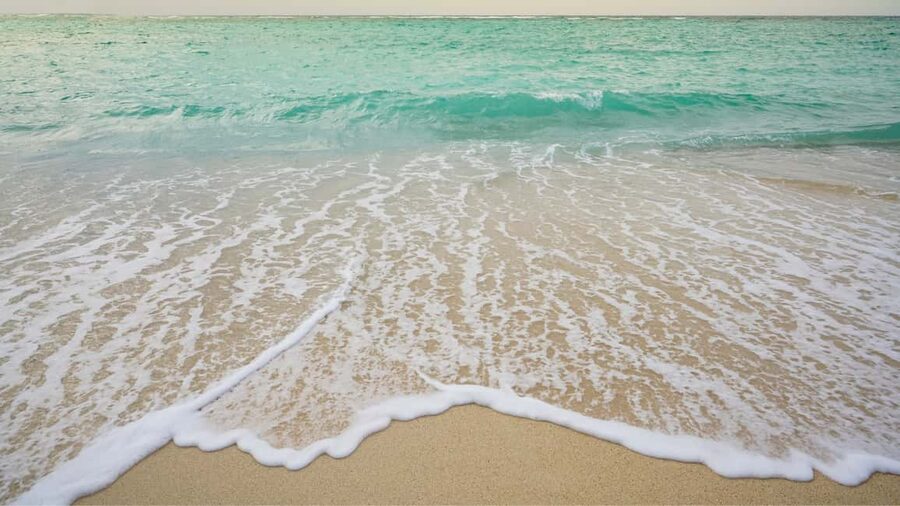 Punta Cana: Saona Island Catamaran Tour with Food & Open Bar - White sand and turquoise water on Saona