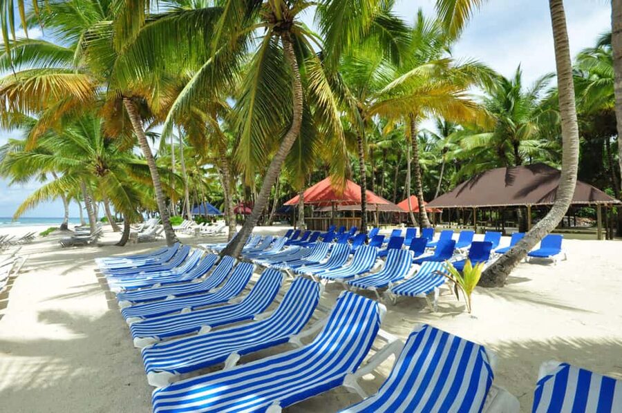 Punta Cana: Saona Island Full-Day All-Inclusive Boat Tour - Dominican buffet lunch and the open bar