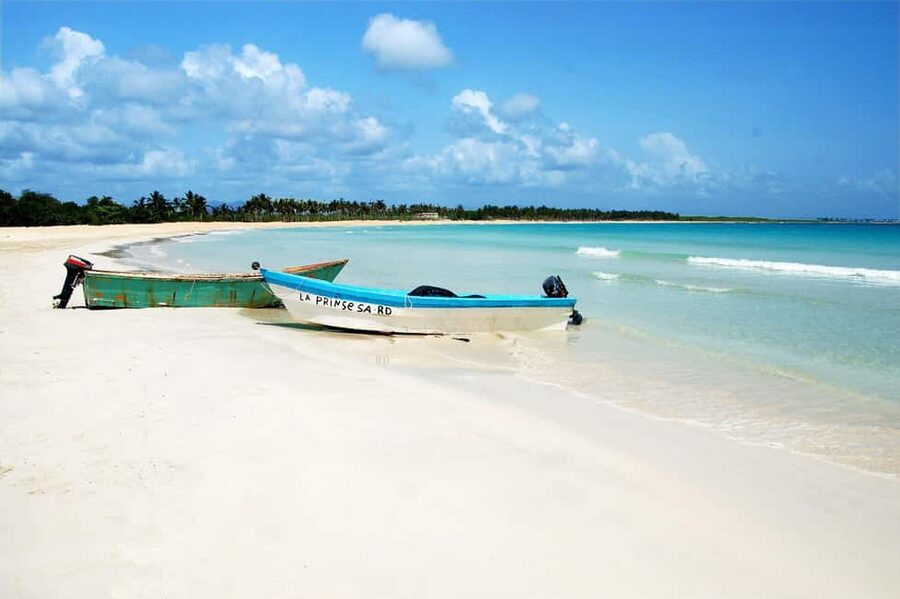 Punta Cana: Saona Island Full-Day Open Bar, Lunch & Transfer - The natural pool and its starfish