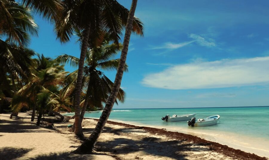 Punta Cana: Saona Island Tour with Lunch and Drinks - Who will enjoy this day most