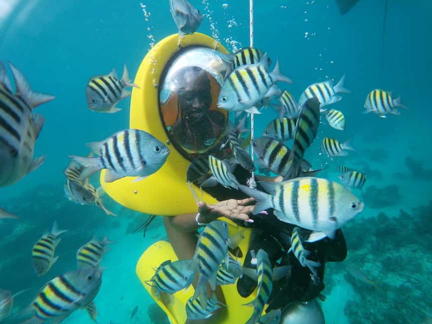 Punta Cana: Scubadoo Ocean Exploration Diving Adventure - How the ScubaDoo session works