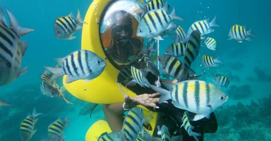 Punta Cana: Scubadoo Ocean Exploration Diving Adventure - El Niño adds time in the water