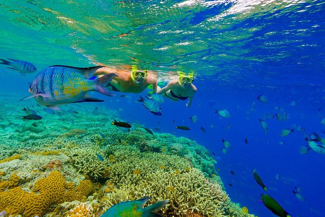 Punta Cana Snorkeling Cruise and Dune buggy Combo Adventure - What the $129 price really covers