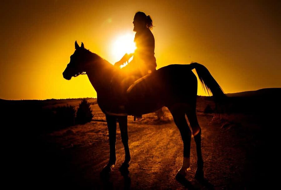 Punta Cana: Sunset Horseback Ride in Macao Beach and Forest - Why this Macao Beach ride is different