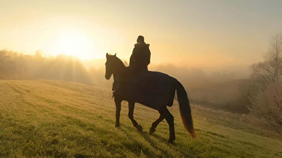 Punta Cana: Sunset Horseback Ride in Macao Beach and Forest - Through the forest and toward the coast