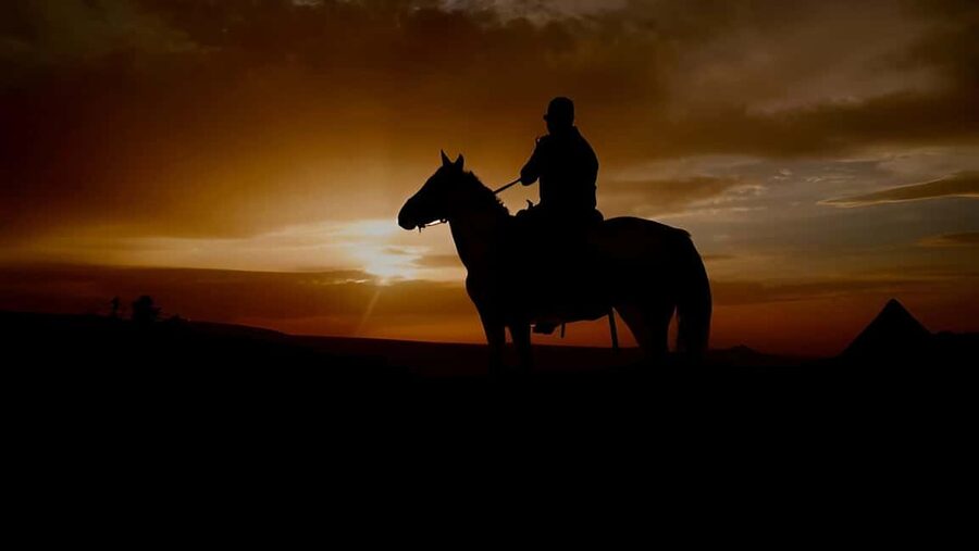 Punta Cana: Sunset Horseback Ride in Macao Beach and Forest - What $61 gets you