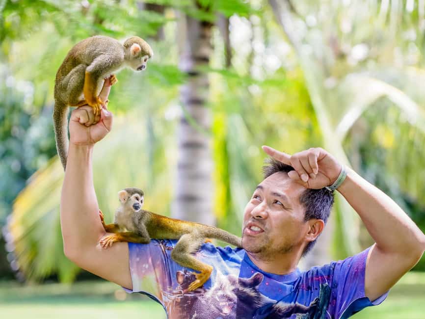 Punta Cana: Tour Monkey Adventure With Hotel Pick Up - Why the monkey time is the heart of the experience
