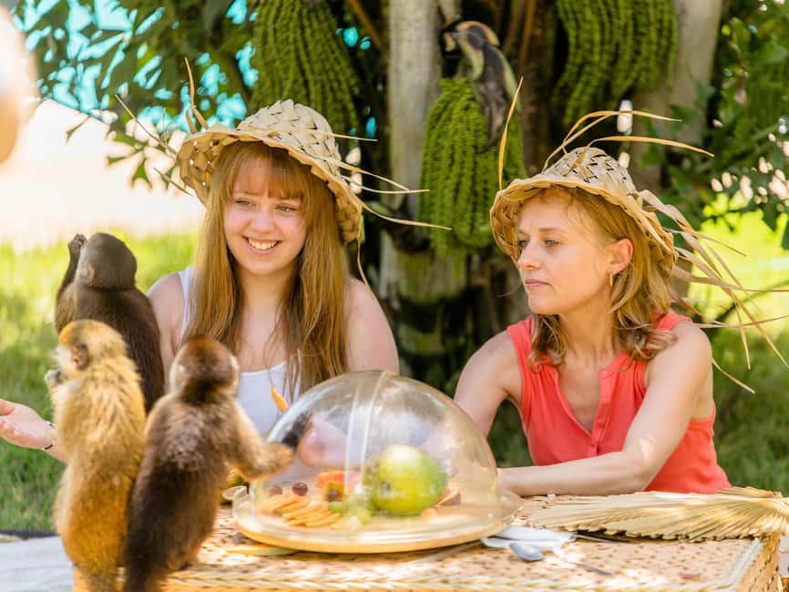 Punta Cana: Tour Monkey Adventure With Hotel Pick Up - Is $95 a fair price?