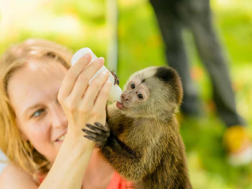 Punta Cana: Tour Monkey Adventure With Hotel Pick Up - Who should choose this monkey encounter?
