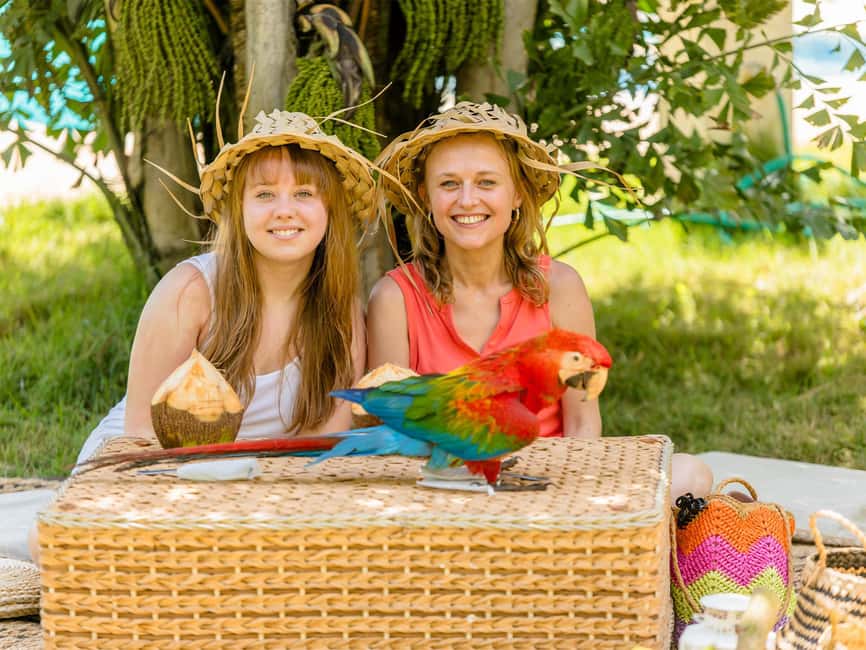 Punta Cana: Tour Monkey Adventure With Hotel Pick Up - A practical way to enjoy the three hours
