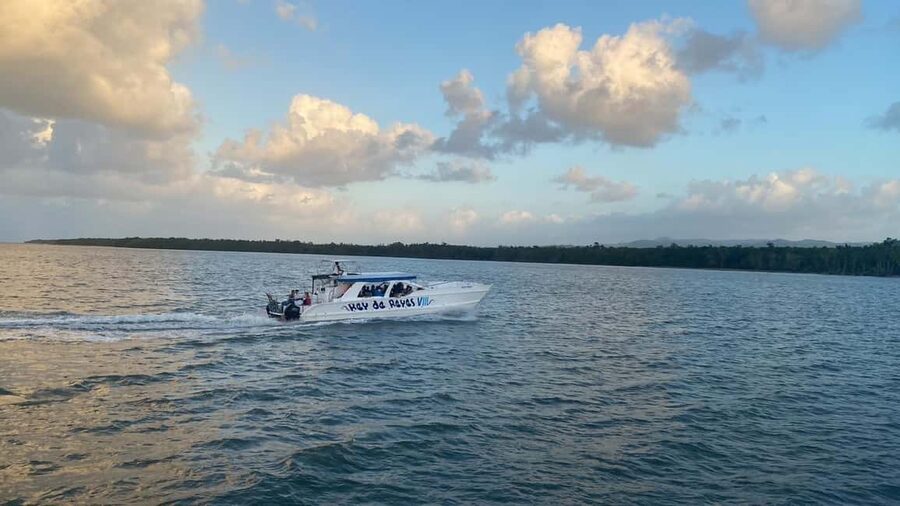 Punta Cana: Whale Watching, Cayo Levantado & Limon Waterfall - Should you book it?
