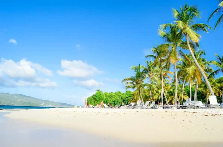 Punta Cana: Whale Watching, Cayo Levantado & Limon Waterfall - A Dominican lunch between the main stops