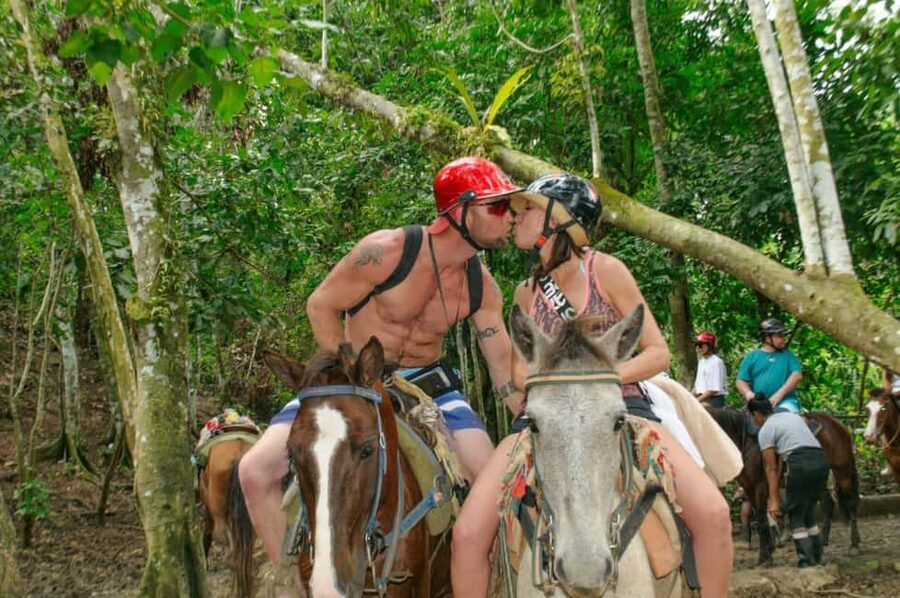 Punta Cana: Whale Watching, Cayo Levantado & Limon Waterfall - Whale watching and the most important seasonal warning