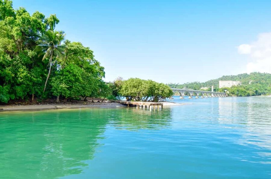 Punta Cana: Whale Watching, Cayo Levantado & Limon Waterfall - Languages, timing, and comfort