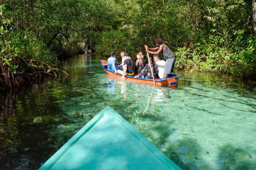 Punta Cana: Whale Watching, Cayo Levantado & Limon Waterfall - The jungle route to Limón Waterfall