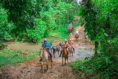 Punta Cana Zipline Adventure with Buggies and Horseback Riding