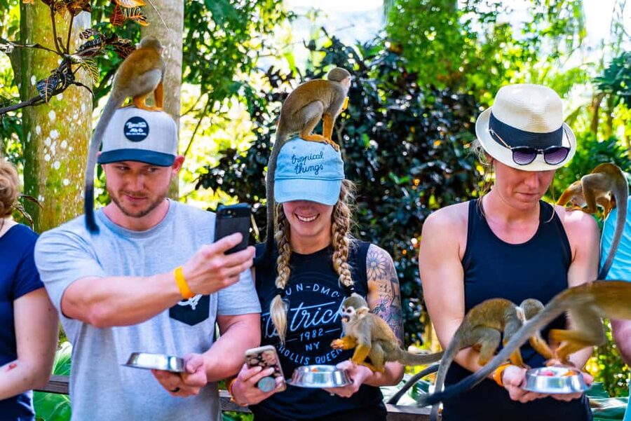 Punta Cana: Ziplines Adventures & Monkeyland Entry - Key points to know before you book