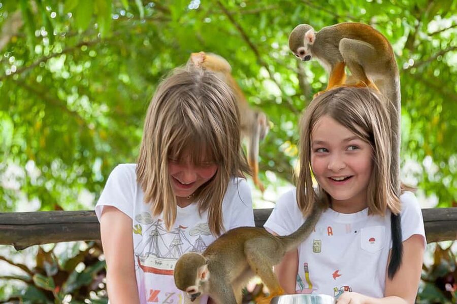 Punta Cana: Ziplines Adventures & Monkeyland Entry - Flying through the Anamuya mountains