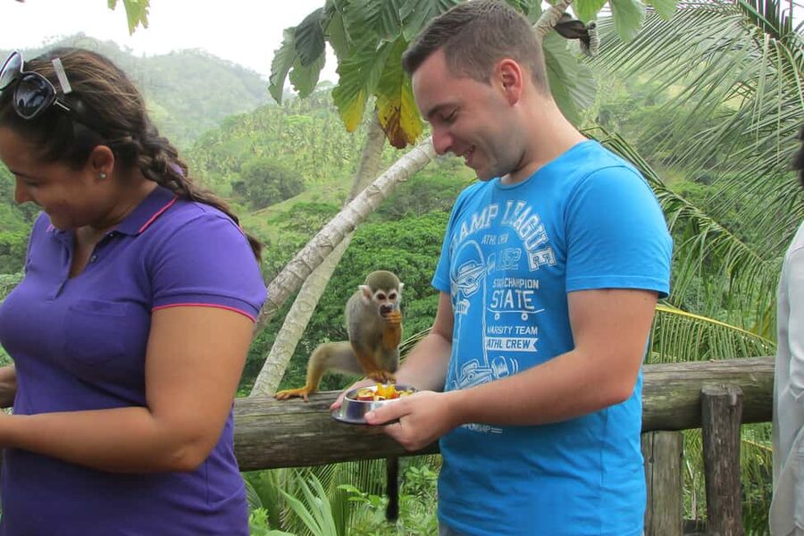 Punta Cana: Ziplines Adventures & Monkeyland Entry - Food, drinks, and the surprise lunch question