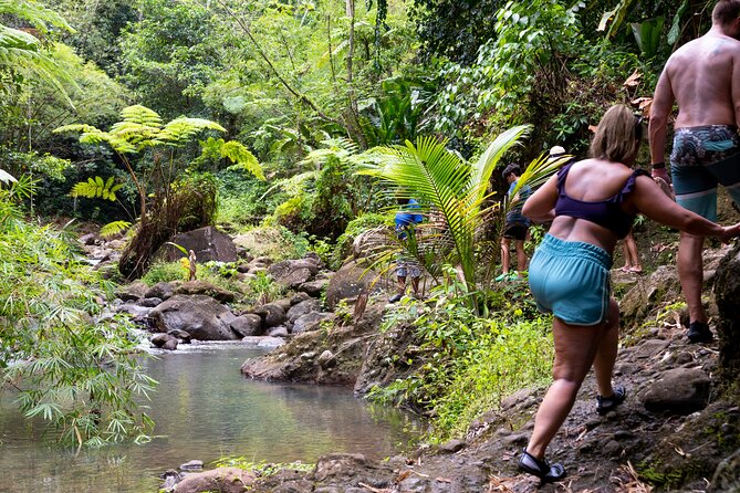 Rainforest Hike and Waterfall Safari - Fruit plantations and local island flavor