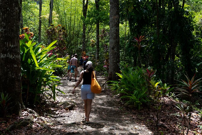 Rainforest Hike and Waterfall Safari - Who should book this rainforest safari?