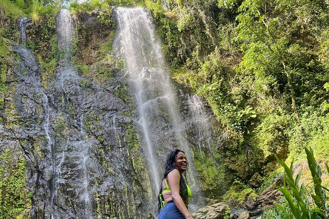 Rainforest Hike to Hidden Waterfall in Puerto Rico with Transport - A rainforest waterfall trip with some bite