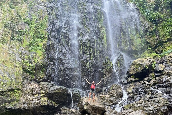 Rainforest Hike to Hidden Waterfall in Puerto Rico with Transport - Why the guide matters on this route