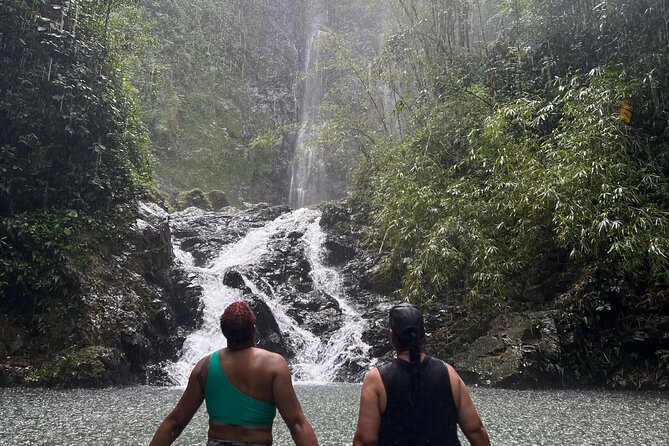 Rainforest Hike to Hidden Waterfall in Puerto Rico with Transport - Price, group size, and overall value
