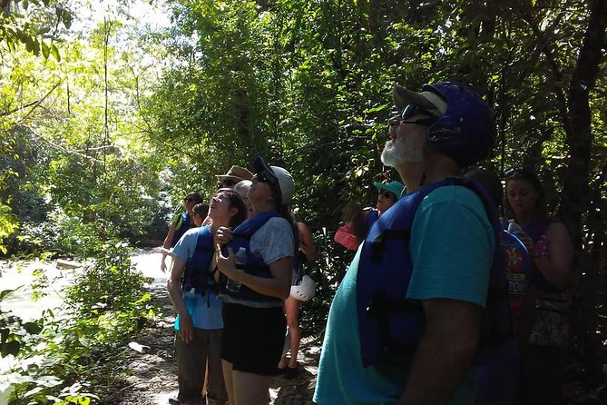 Rainforest Trek to Natural Pool - Taino Bay & Amber Cove ports - From Amber Cove or Taino Bay to the Damajagua forest