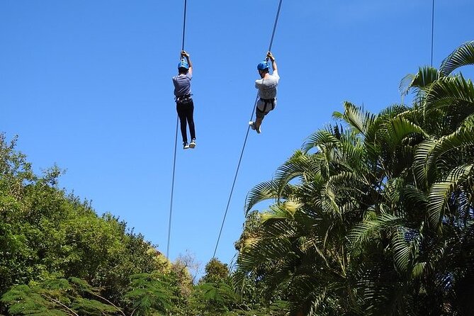 Rainforest Zipline in Foothills of the National Rainforest - Who will enjoy this most