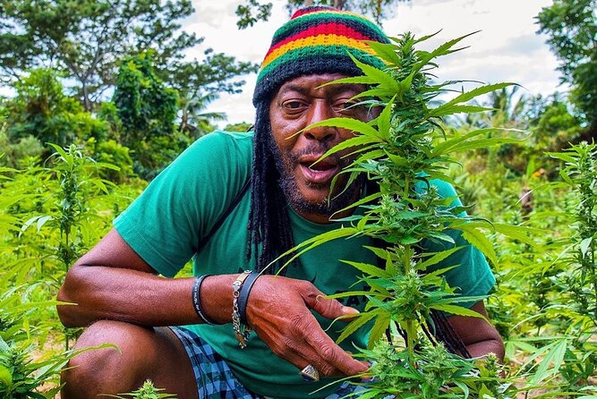Rastafari Cultural ATV Community Experience from Montego Bay - More than an ATV ride in rural Jamaica