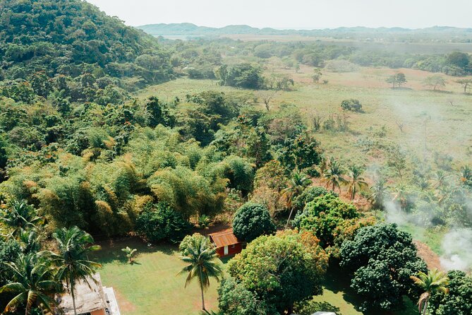Rastafari Cultural ATV Community Experience from Montego Bay - Learning about the ganja farm