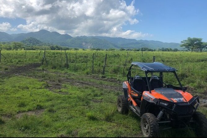 Rastafari Cultural ATV Community Experience from Montego Bay - Fruit picked along the route