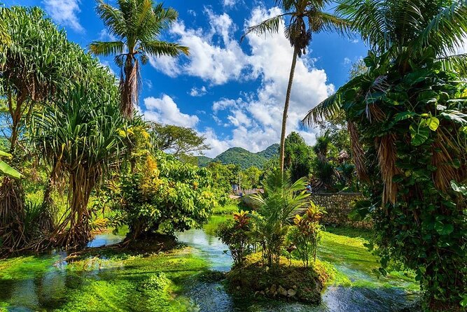 Rastafari Cultural ATV Community Experience from Montego Bay - What the $164.59 price really covers